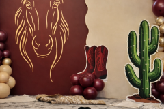 IMG_6176