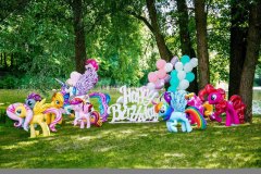 Фотозона-my-litlle-pony-декор