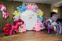 fotozona-poni