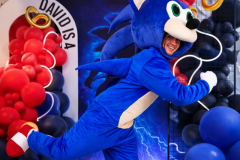 sonic2