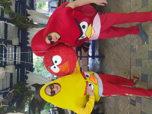 Angry Birds