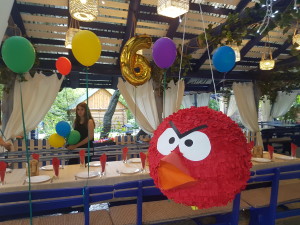 Angry Birds