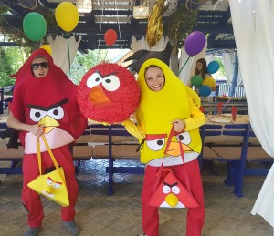 Angry Birds