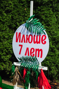 дино пати