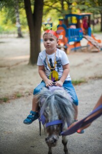 лошадки на праздник